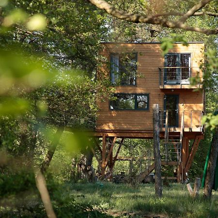 Domek Na Drzewie W Dolinie Uradu Exterior foto